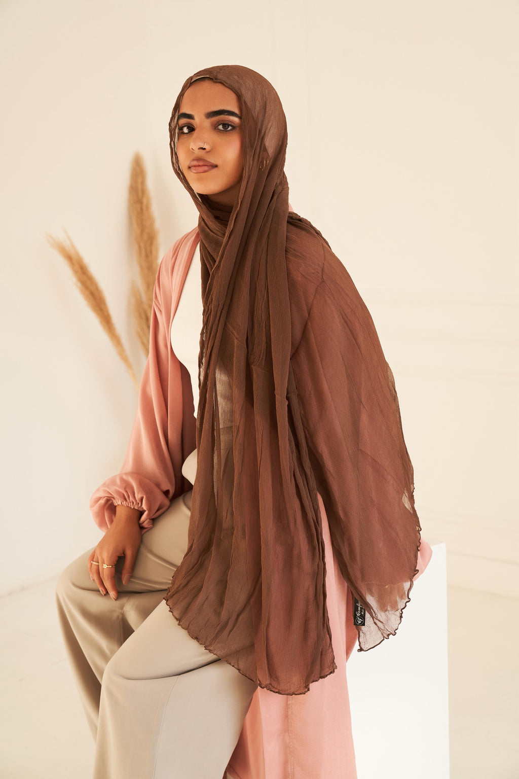 Rafiled Indian Chiffon in Brown "RIC-13"